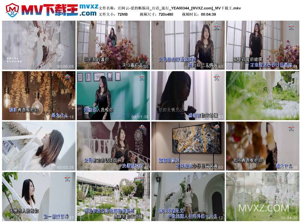 庄阿云-爱的断肠诗_台语_流行_YEA00344